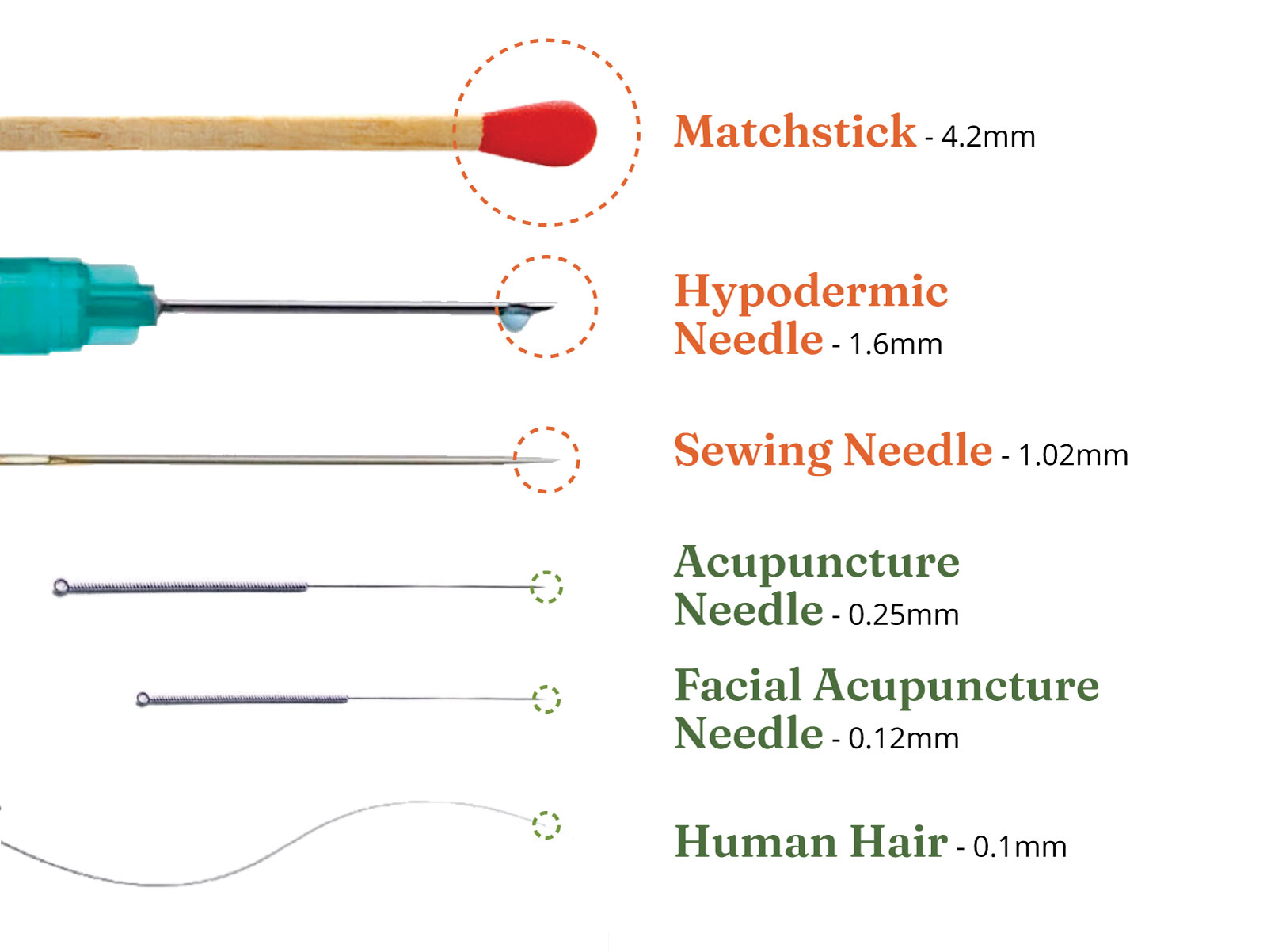 A graphical depiction showing the various of objects and needles to show how thin acupuncture needles are