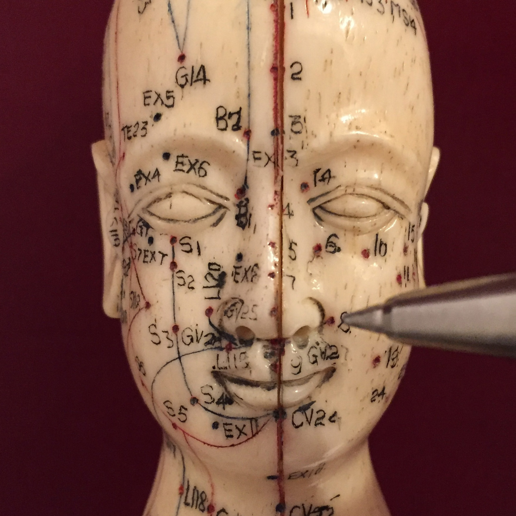 A photo of a statue showing acupuncture points